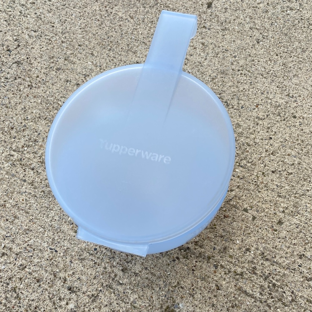 Tupperware Forget Me Not Onion/Tomato Keeper